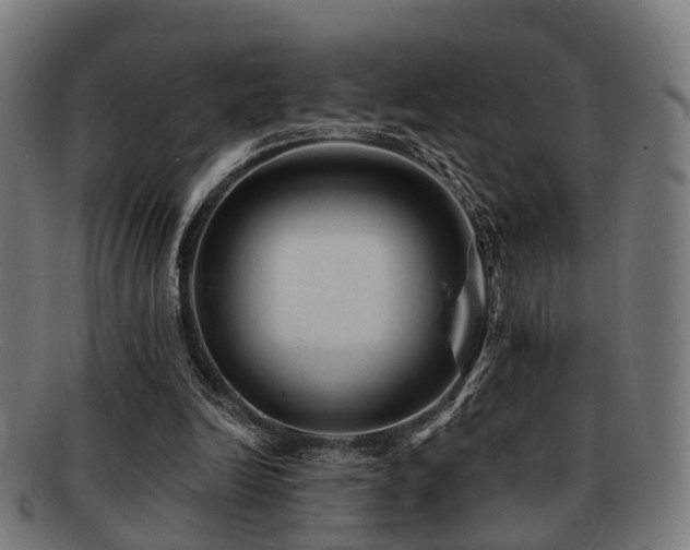 X0000091890246200709051349