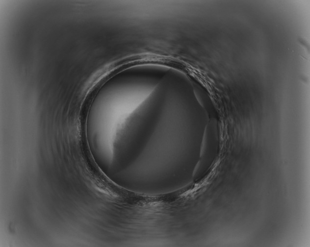 X0000091890247200709051349