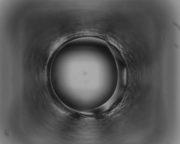 X0000091890248200709051349
