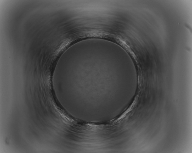X0000091890249200709051349