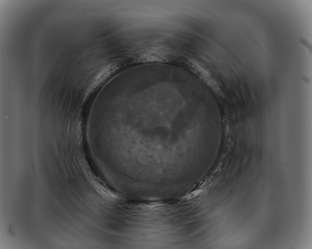 X0000091890250200709051349