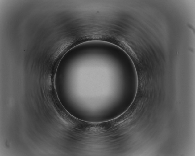X0000091890251200709051349