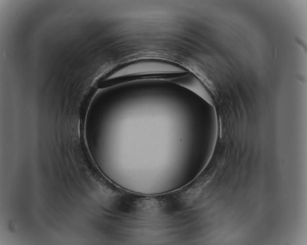 X0000091890253200709051349