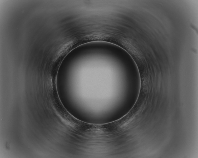 X0000091890254200709051349
