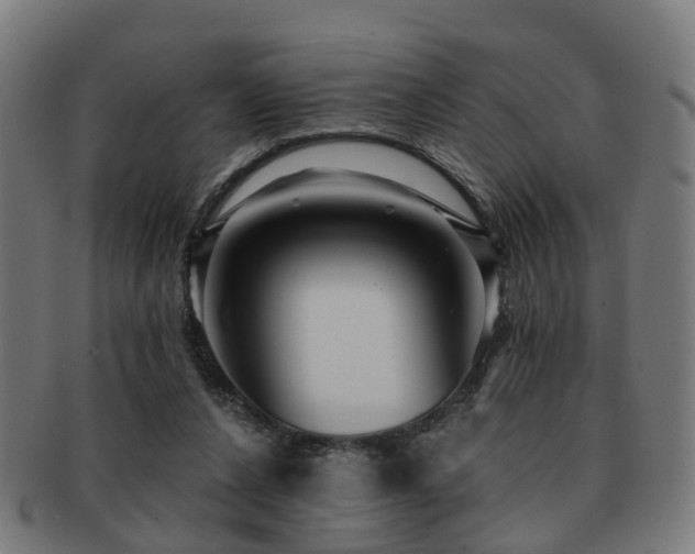 X0000091890256200709051349