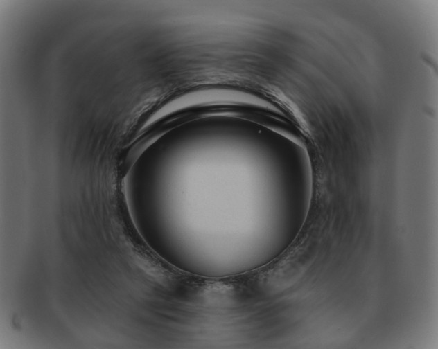 X0000091890257200709051349