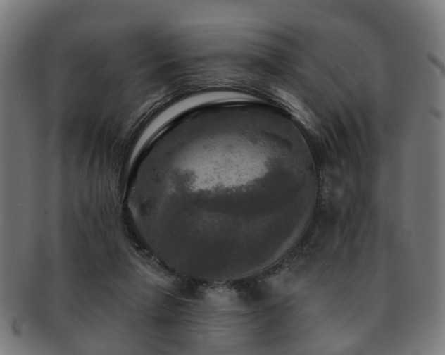 X0000091890258200709051349