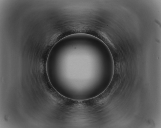 X0000091890259200709051349