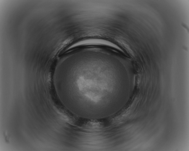 X0000091890260200709051349
