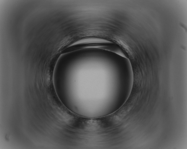 X0000091890261200709051349