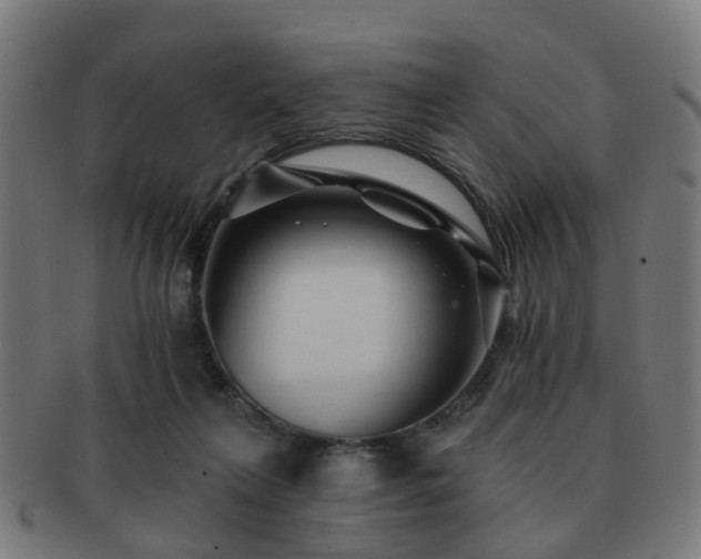 X0000091890263200709051349