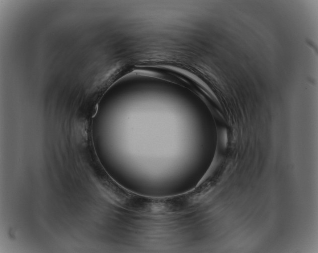 X0000091890264200709051349