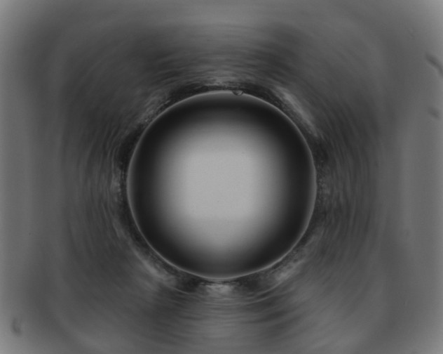 X0000091890265200709051349