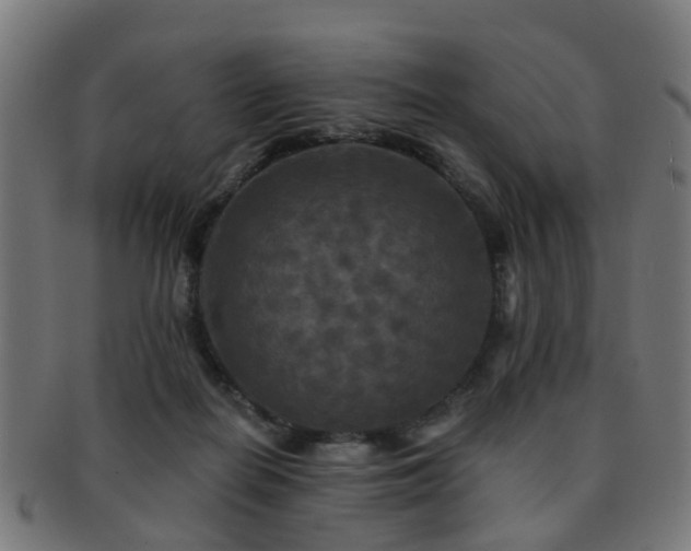 X0000091890266200709051349