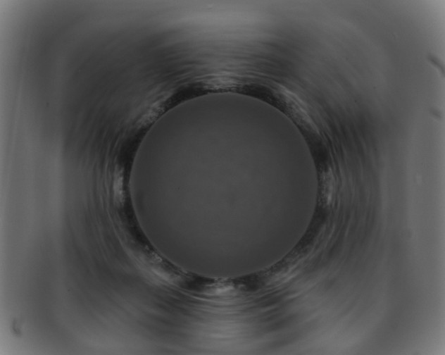 X0000091890267200709051349