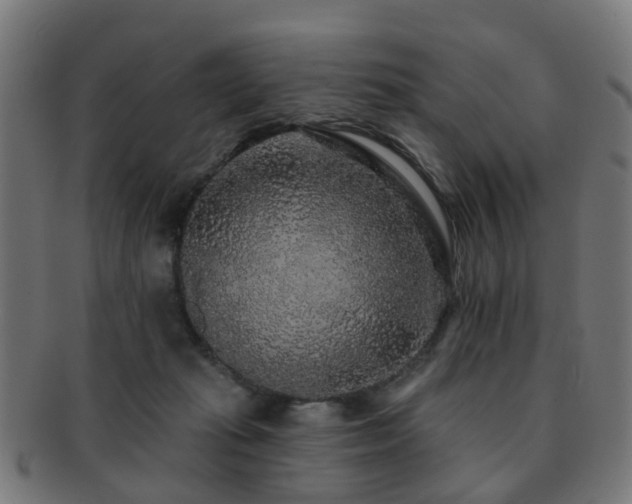 X0000091890269200709051349