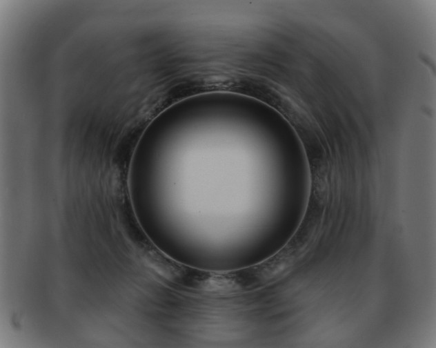 X0000091890270200709051349