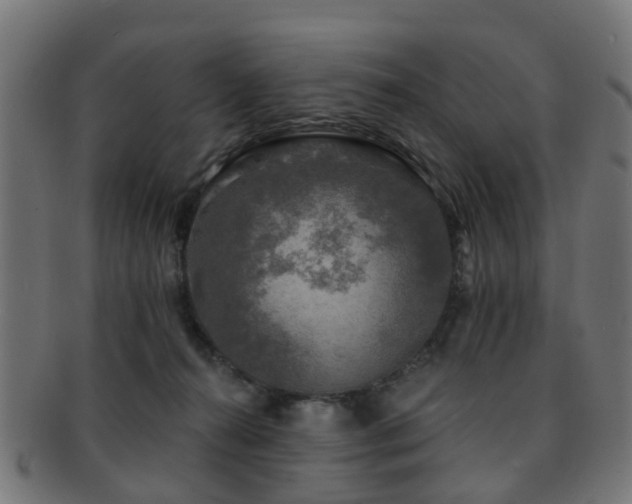 X0000091890272200709051349