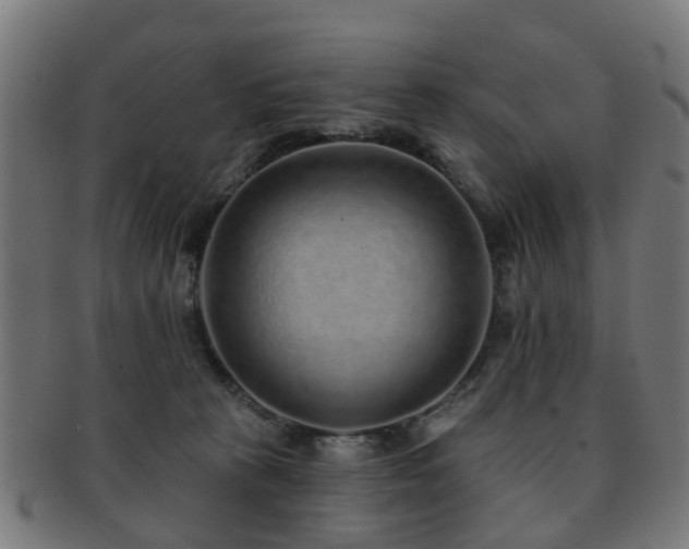X0000091890273200709051349