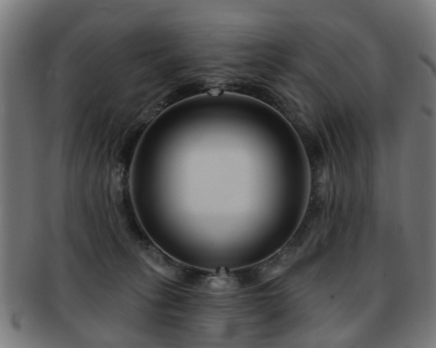 X0000091890275200709051349