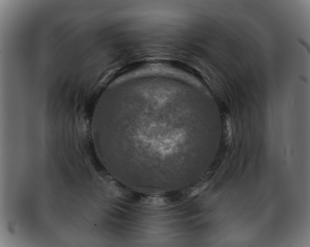 X0000091890276200709051349