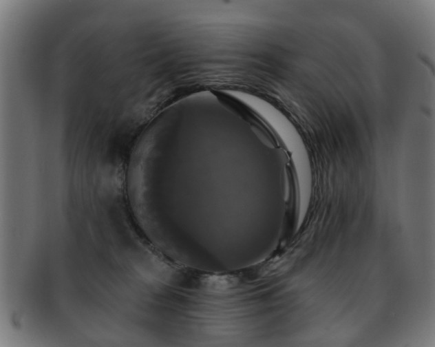 X0000091890277200709051349
