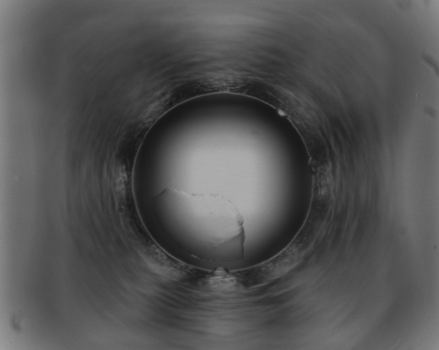 X0000091890279200709051349