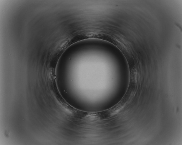X0000091890280200709051349