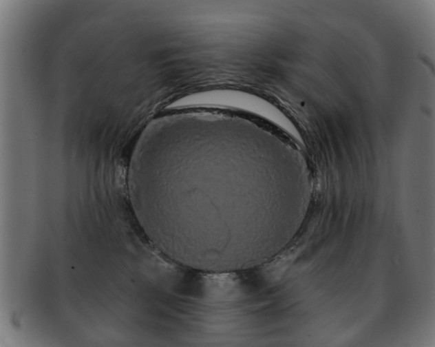X0000091890281200709051349
