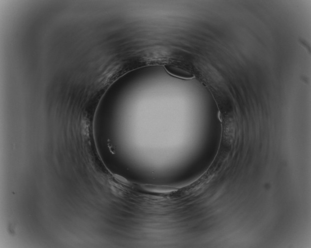 X0000091890282200709051349