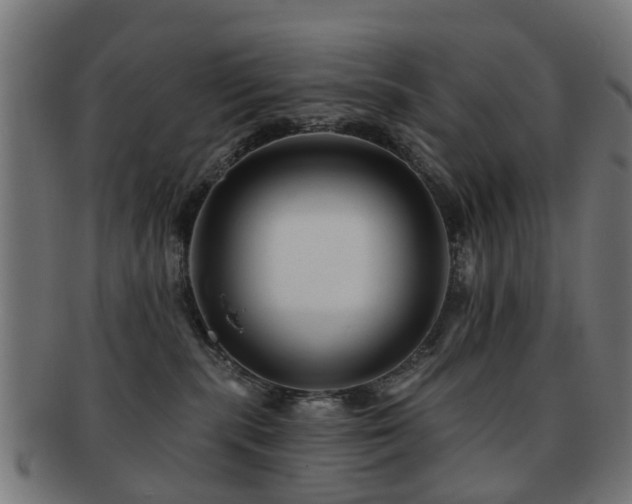 X0000091890283200709051349