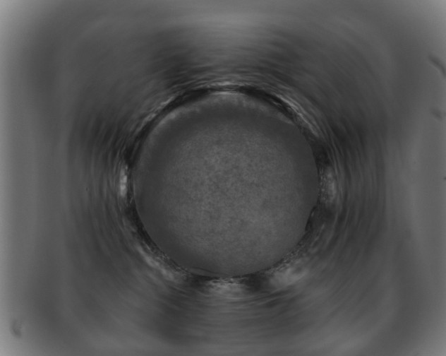 X0000091890284200709051349