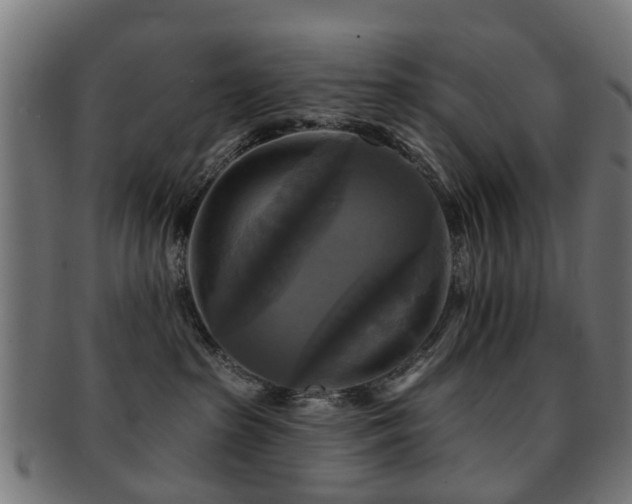 X0000091890285200709051349