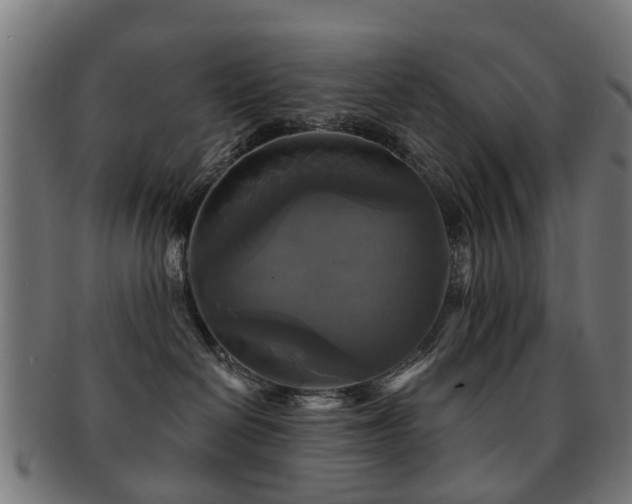 X0000091890286200709051349