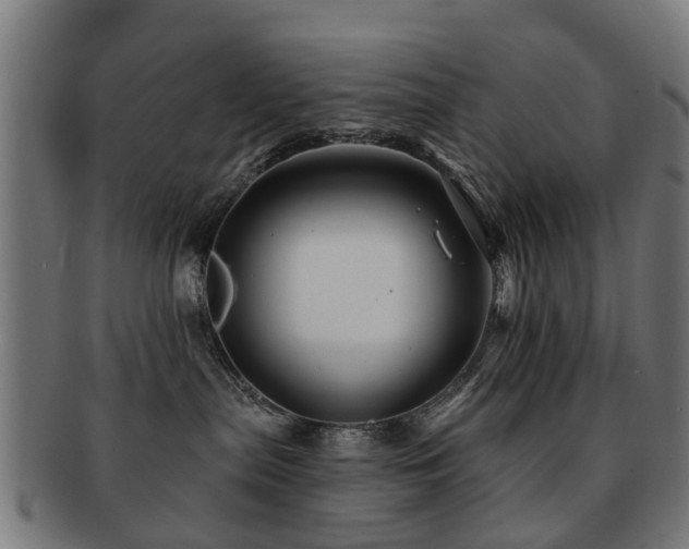 X0000091890287200709051349