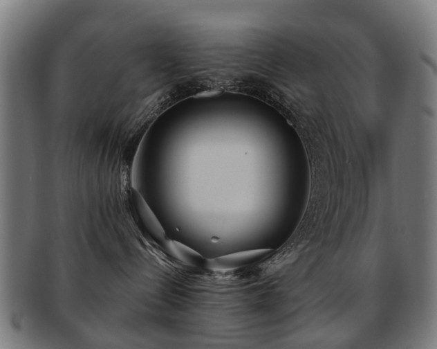 X0000091890288200709051349
