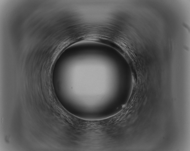 X0000091890289200709051349