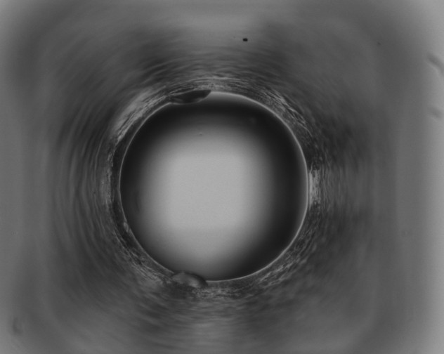 X0000091890291200709051349