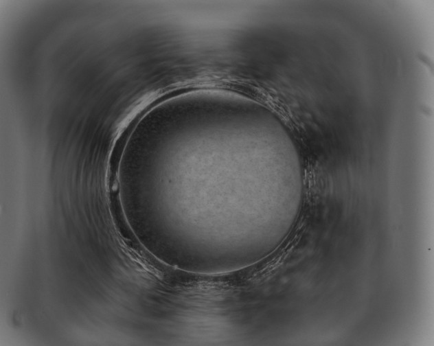X0000091890292200709051349