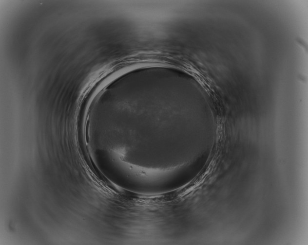 X0000091890293200709051349
