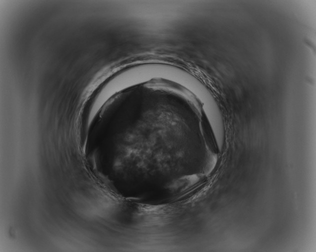 X0000091890295200709051349