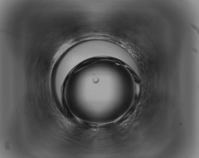 X0000091890296200709051348