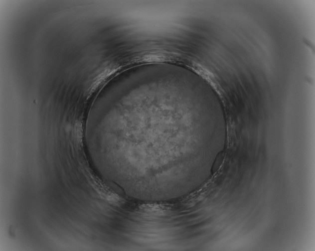 X0000091890297200709051348