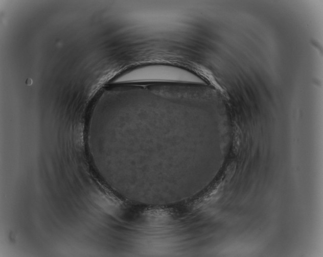 X0000091890299200709051348