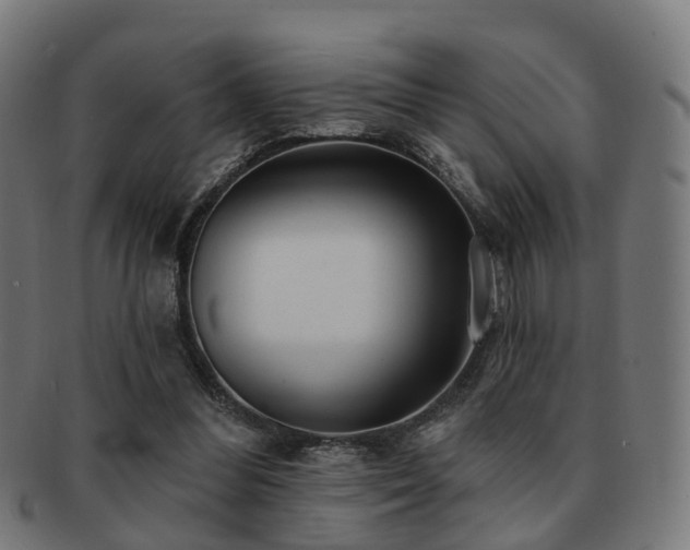 X0000091890300200709051348