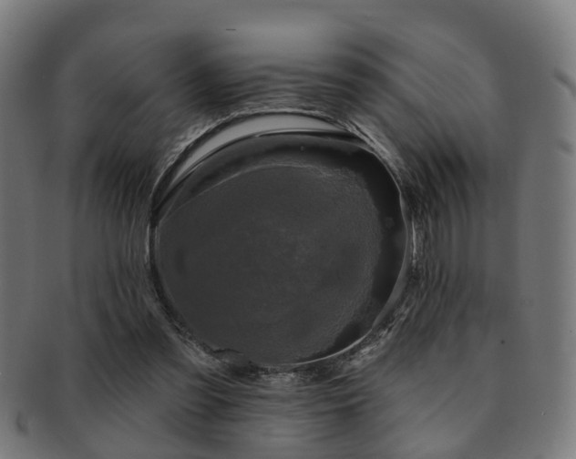 X0000091890301200709051348