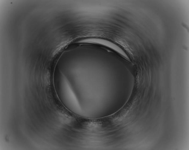 X0000091890303200709051348