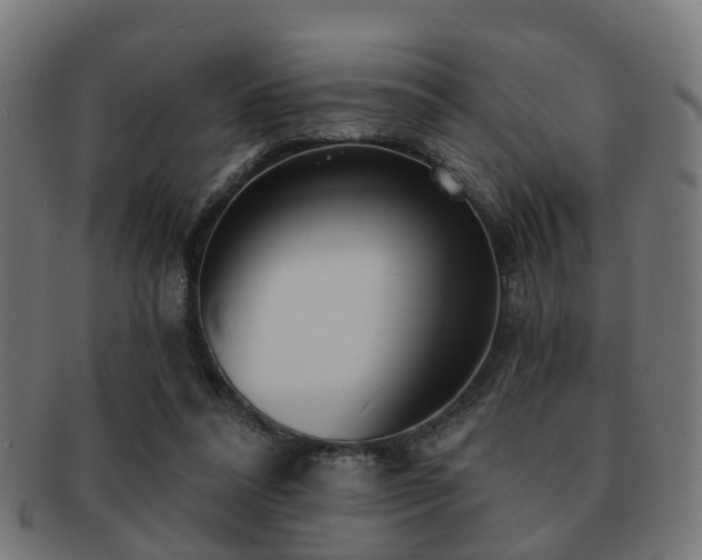 X0000091890304200709051348