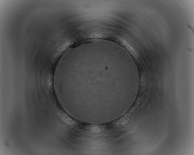 X0000091890305200709051348