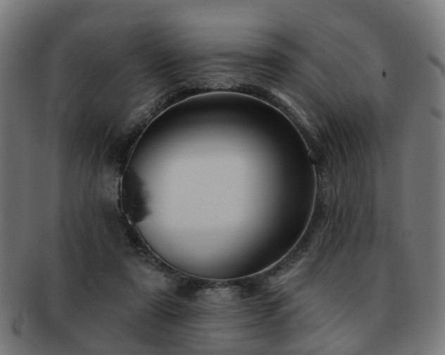 X0000091890307200709051348